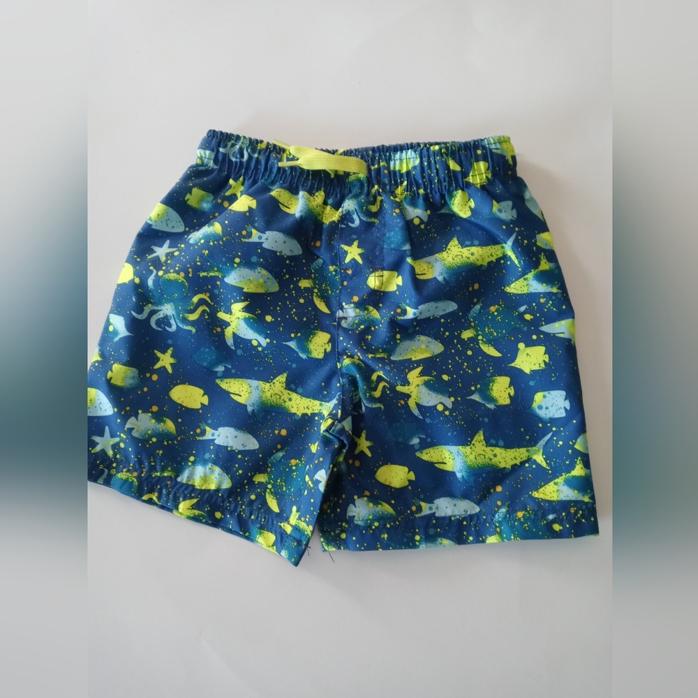 Blue and Green Shark Print Swim Shorts